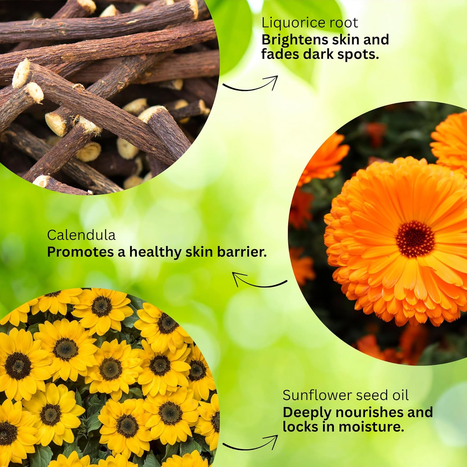 HerbalMatte Licorice Moisturizer | Matte Hydrator for Oily Skin (60mL)