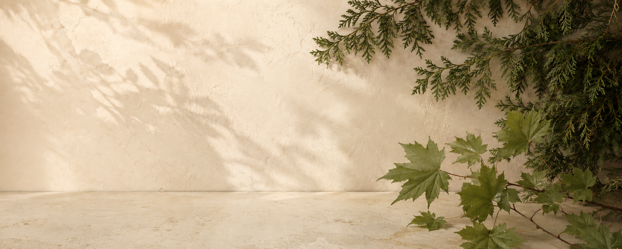 Canadian maple leaves on warm limestone